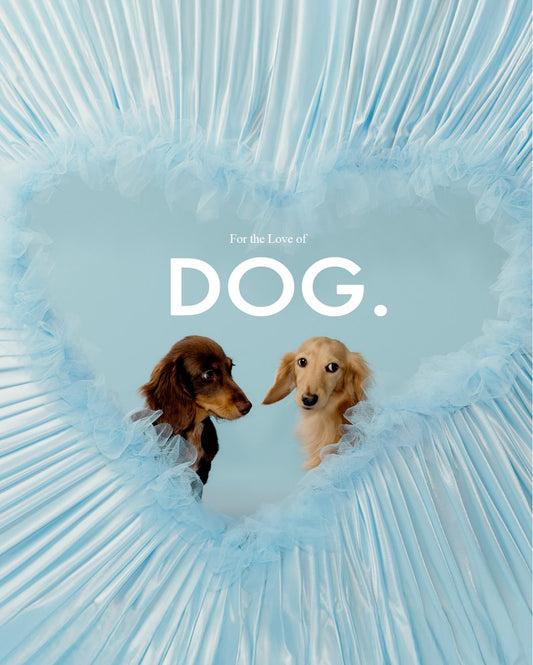 🐾 For the Love of Dog — House of Sunny’nin En Sevimli Drop’u! 🐶✨