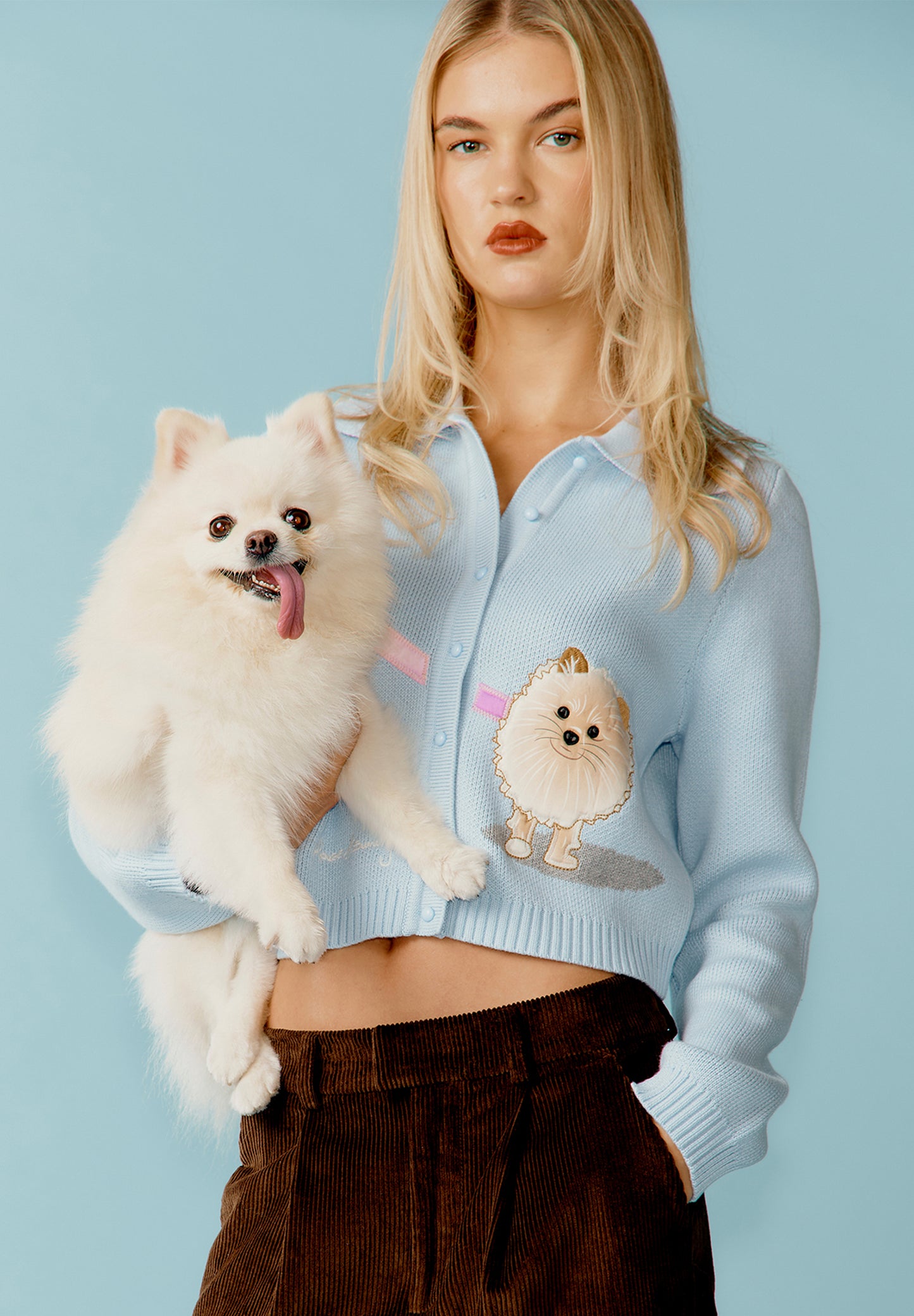 Mavi Köpekli Hırka